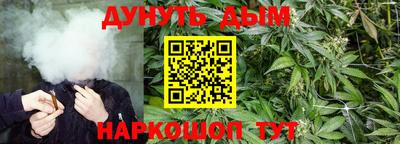 a pvp Бийск