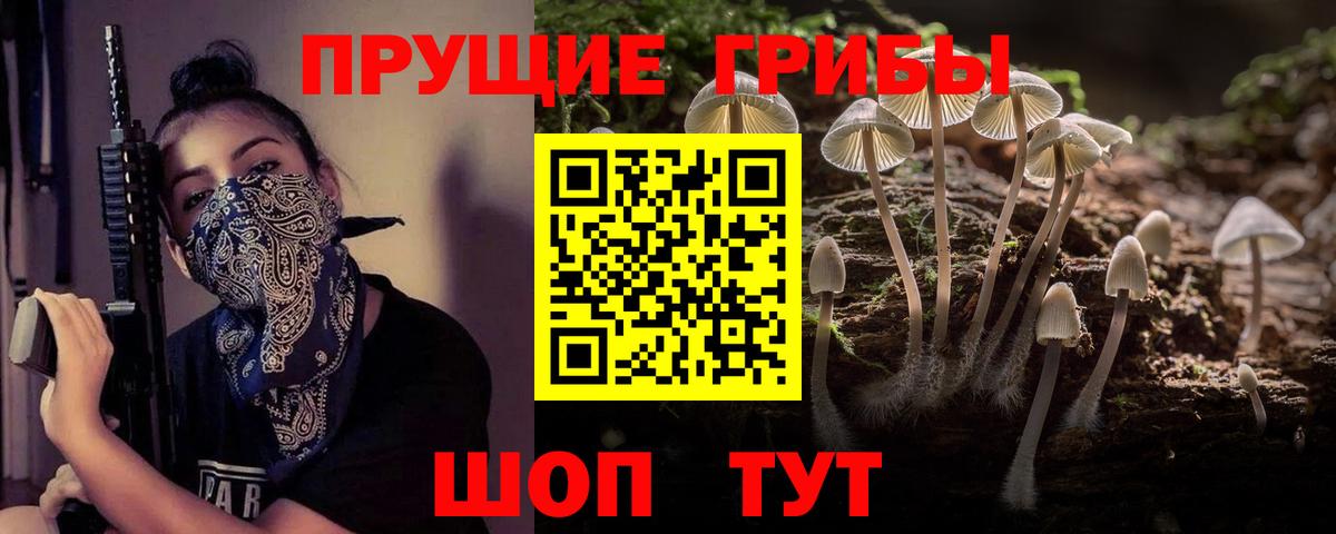 Псилоцибиновые грибы MAGIC MUSHROOMS  Вход с VPN  Каспийск 