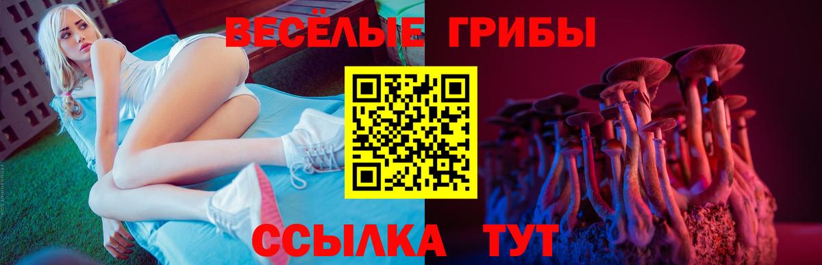 Галлюциногенные грибы прущие грибы Каспийск